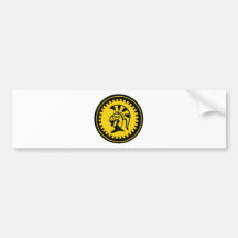 10th Tactical Reconnaissance Squadron Bumper Sticker