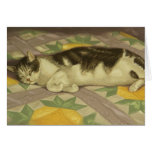 1149 Cat on Quilt Birthday Card