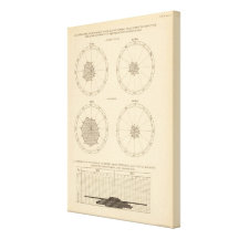 115 Deaths scarlet fever, diphtheria Stretched Canvas Print