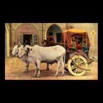 11.99x7.33 Portfolio India Village posters