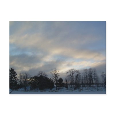 11 January 2010 Post Card by NiftyMorning