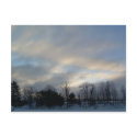11 January 2010 postcards