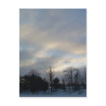 11 January 2010 Postcards