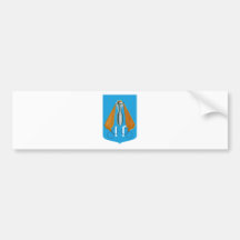 11o Stormo Bumper Sticker