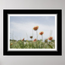 11x14 Indian Blanket Wildflower Print