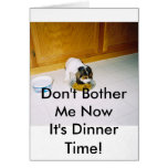 12-30-2008 06;09;30PM, Don't Bother Me NowIt's ... Greeting Card