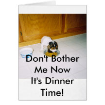12-30-2008 06;09;30PM, Don't Bother Me NowIt's ... Greeting Card