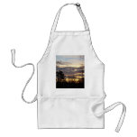 12 January 2010 Aprons