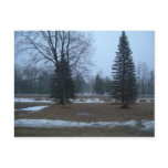 12 March 2010 Postcard