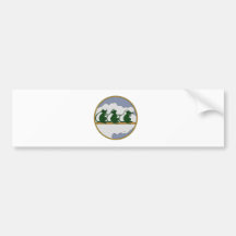 12o Stormo Bumper Stickers