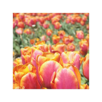 12x12 canvas art print Tulip Flowers square canvas Canvas Prints