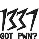 1337, Got Pwn?