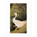 13. 芦鵞図, 若冲 Reed & Goose, Jakuchū, Japan Art Post Cards