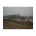 13 March 2010 postcards