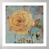 $14.95 Plantes Print Poster