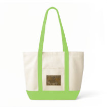 1531 Oronce Fine Antique World Map Bag