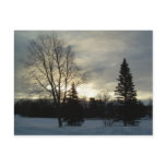 15 February 2010 Post Cards