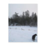 15 January 2010 Postcard