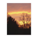 15 March 2010 postcards
