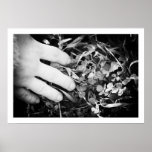 #15 POSTERS