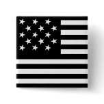 15 Star Us Flag Pin