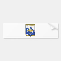 15o Stormo Bumper Stickers