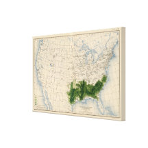 165 Cotton/sq mile Canvas Print