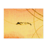 165. REST ? POSTCARDS