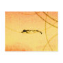 165. REST ? POSTCARDS