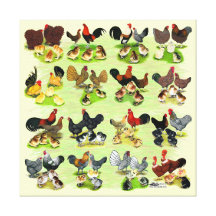 16 familles de poulet toile tendue