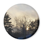 16 January 2010 Magnet