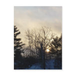 16 January 2010 Post Cards