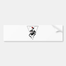 16o Stormo Bumper Sticker