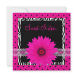 16th Birthday Black White Zebra Pink Spot Flower Personalized Announcement