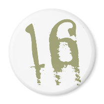 16th Birthday magnets
