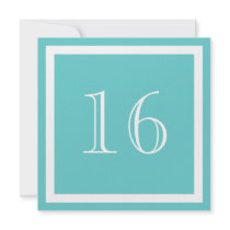 16th Birthday Party Invitation - Aqua