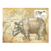 16th century Rhinoceros and skeleton Postcard