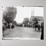 16th Tennessee Infantry, CSA-1900 Reunion  Print