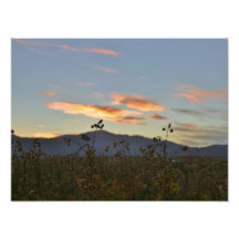 16x12 photo print
