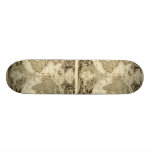 1708 World Map by Jean Baptiste Nolin Skate Decks