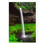 171 Feet Silver Falls OR Postcard