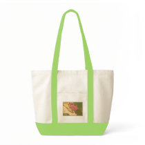 1720 Map - La Californie ou Nouvelle Caroline Canvas Bags