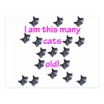 17 Cat Heads Old Post Cards