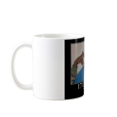 17 dollars mug by Dianarocks