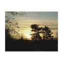 17 February 2010 postcards