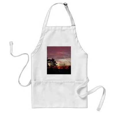 17 January 2010 Apron by NiftyMorning
