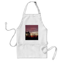 17 January 2010 Apron