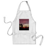 17 January 2010 aprons