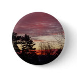 17 January 2010 buttons
