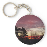 17 January 2010 keychains